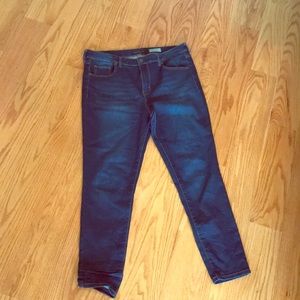 High-Waisted Blue Jeans/Jeggings